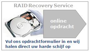 RAID Data Recovery Form